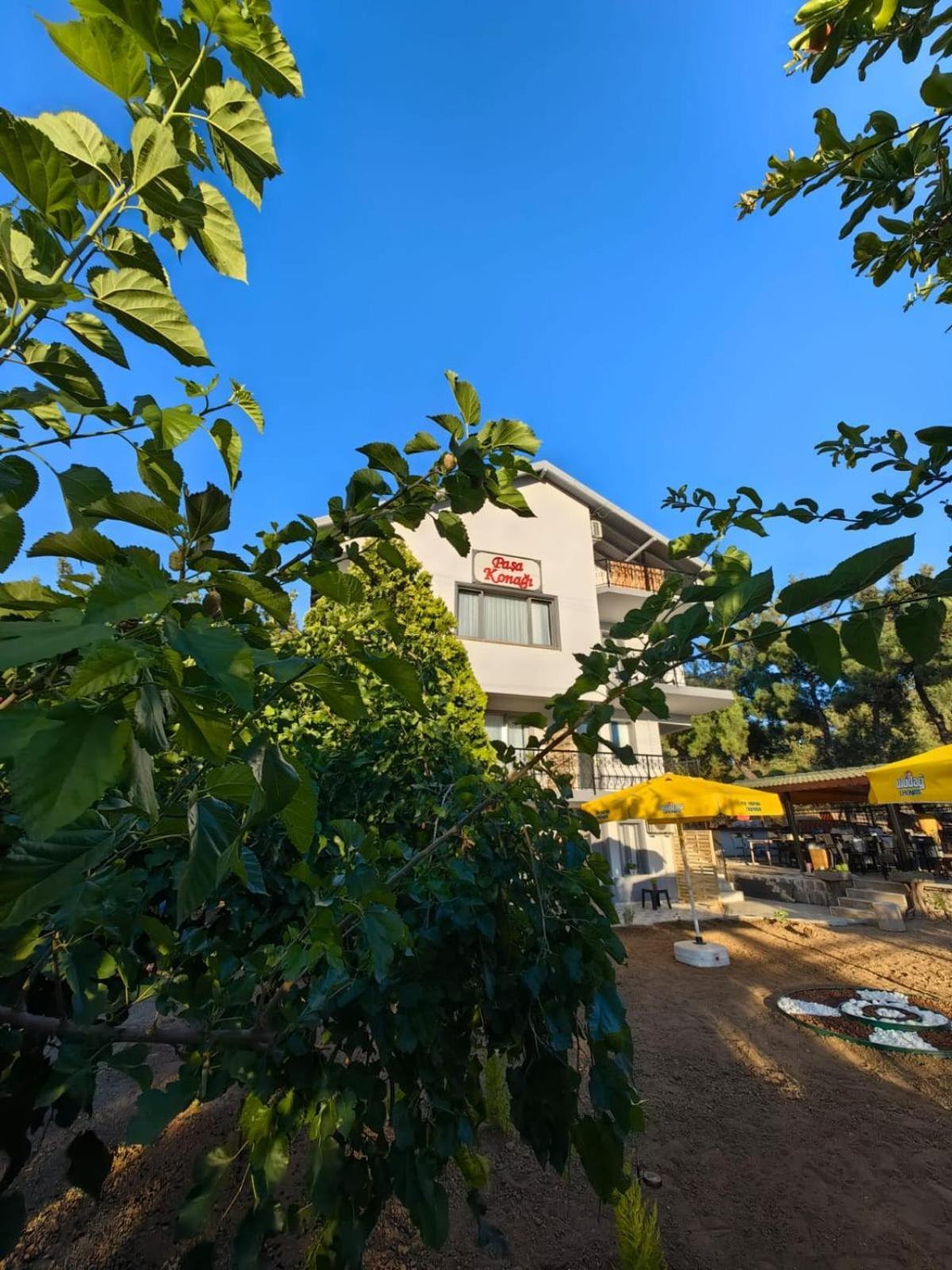 Pasa Konagi Ayvalik Hotel Exterior foto